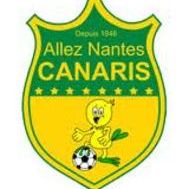 Les canaris a l'euro 2016