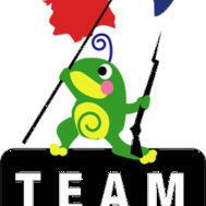 Fanion équipe 'Les Froggies