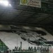 goret42
