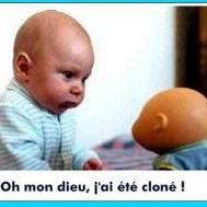 LE HAGUARD