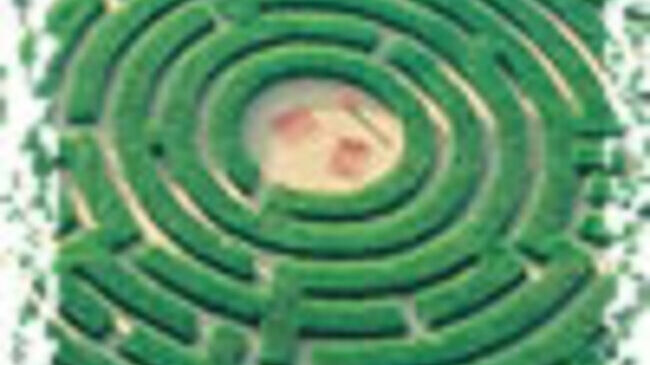 Pour passer une BONNE SOIREE vendredi...