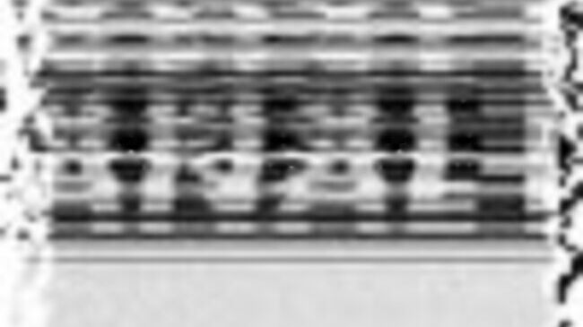 Les Bleus sur Canal Ploutch