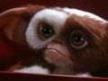 Gremlin