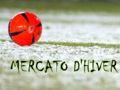 Mercato hivernal 2015 lesbleus.com