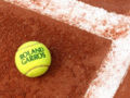 Tournoi amical Roland Garros 2016 (demi-finales)