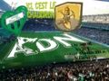 En vert contre tous