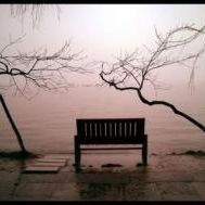 Mistral gagnant
