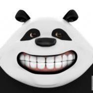 Fanion équipe 'Panda team