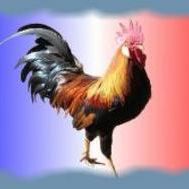 Fanion équipe 'bleusdu33