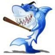 the sharks