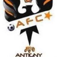 Fanion équipe 'AFC 2009