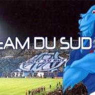 Fanion équipe 'Team-Du-SUD