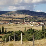 Furia Alonso