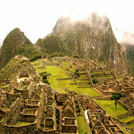 tofviet