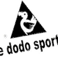 Fanion équipe 'Dodos Sportifs