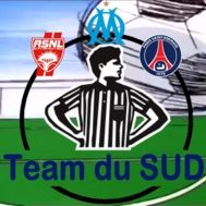 Fanion équipe '* Team Du SUD *