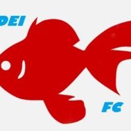 Fanion équipe 'NDEI FOOTBALL CLUB
