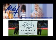 La ligue 1 des Udafiens