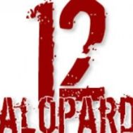Les 12 Salopards