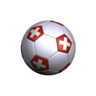 Fanion équipe 'Swiss Air Ball
