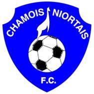 Fanion équipe 'Chamoisettes Niortaises