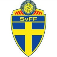 Fanion équipe 'Team SvFF