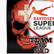 Fanion équipe 'Team Du SUD Swiss