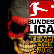 Fanion équipe 'Team Du SUD Germany