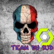 Fanion équipe 'Team Du SUD