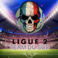Fanion équipe 'Team Du SUD L2