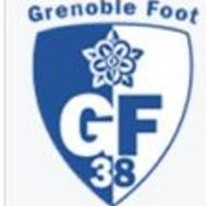 Fanion équipe 'Team GF38