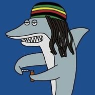 Fanion équipe 'Reggae Shark 2022