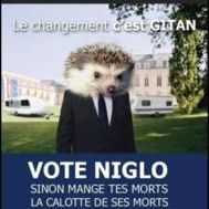 Fanion équipe 'Les Niglots