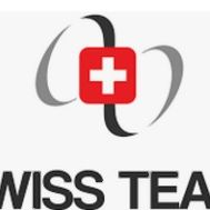 Fanion équipe 'Swiss'team 23-24