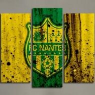 Fanion équipe 'FCN 2025 / 2026