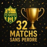 Fanion équipe 'L'élite JAUNE et VERTE