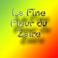 Fanion équipe 'fine fleur du Zaïre